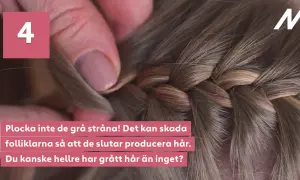 En fläta med vackra nyanser av grått och brunt, en naturlig grey blending. En hand drar försiktigt i en grå strå.