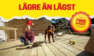 Byggmax reklam: Barn och hund hjälper till med altanbygge. Prisgaranti på allt!