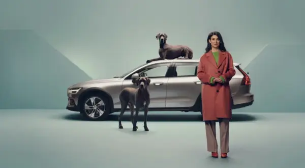 En kvinna och två stora hundar står bredvid en silverfärgad Volvo. En hund vilar på taket, den andra står framför bilen. Volvo reklam.
